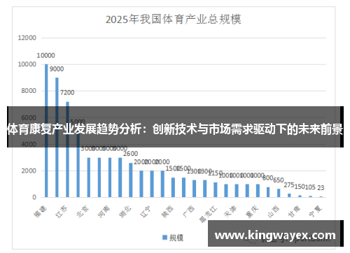 体育康复产业发展趋势分析：创新技术与市场需求驱动下的未来前景